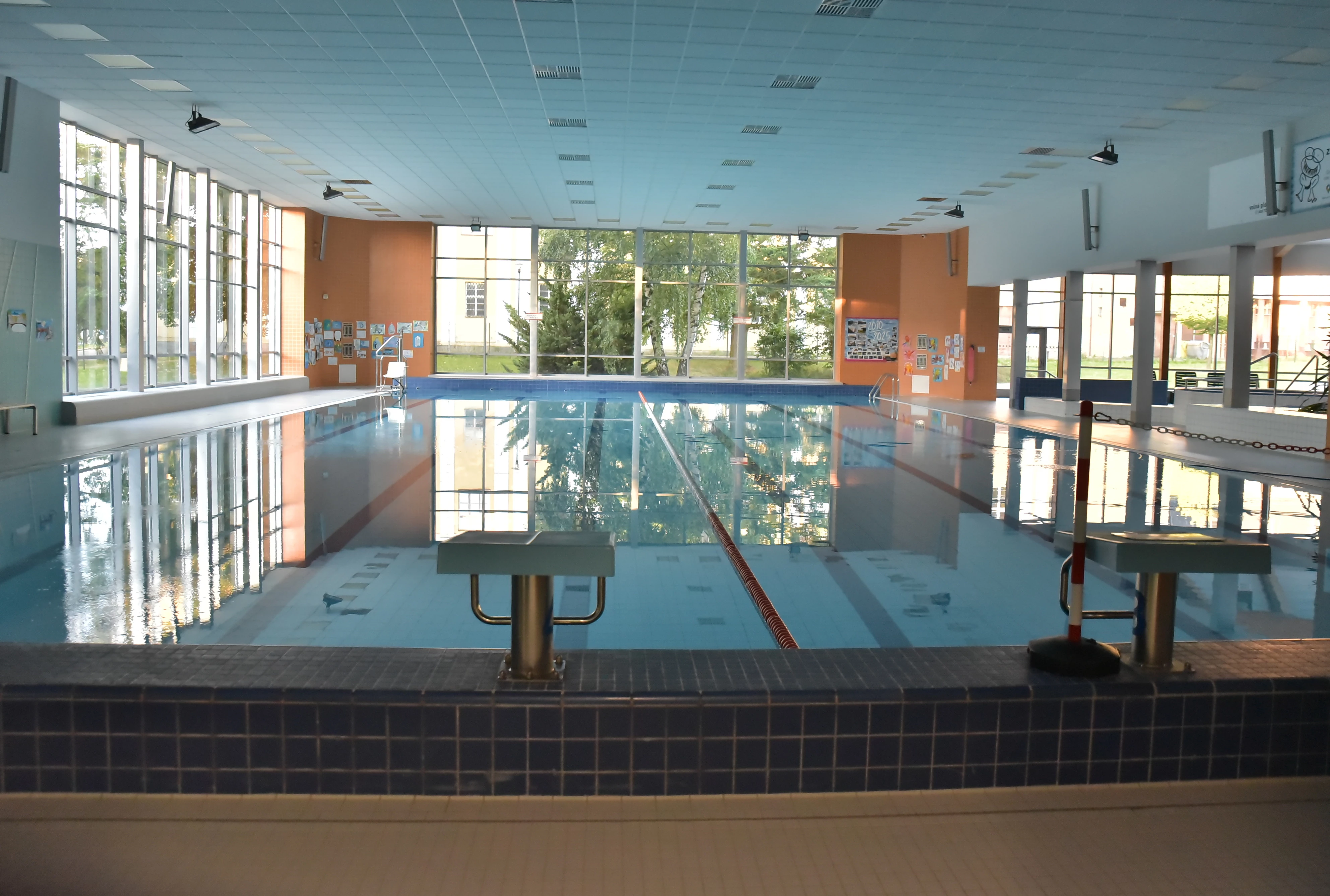 Schwimmkurs für Erwachsene