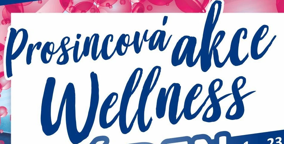 Prosincová akce - celý den za cenu 2h